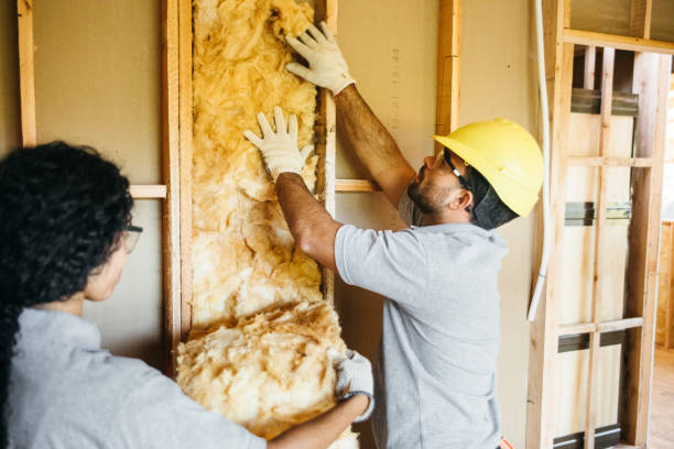 Best Wall Insulation Installation  in Forest Lake, IL